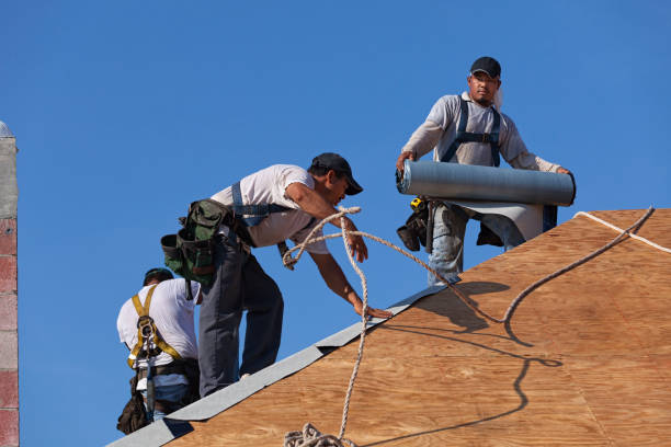 Best Roof Gutter Cleaning  in Kenwood Estates, FL